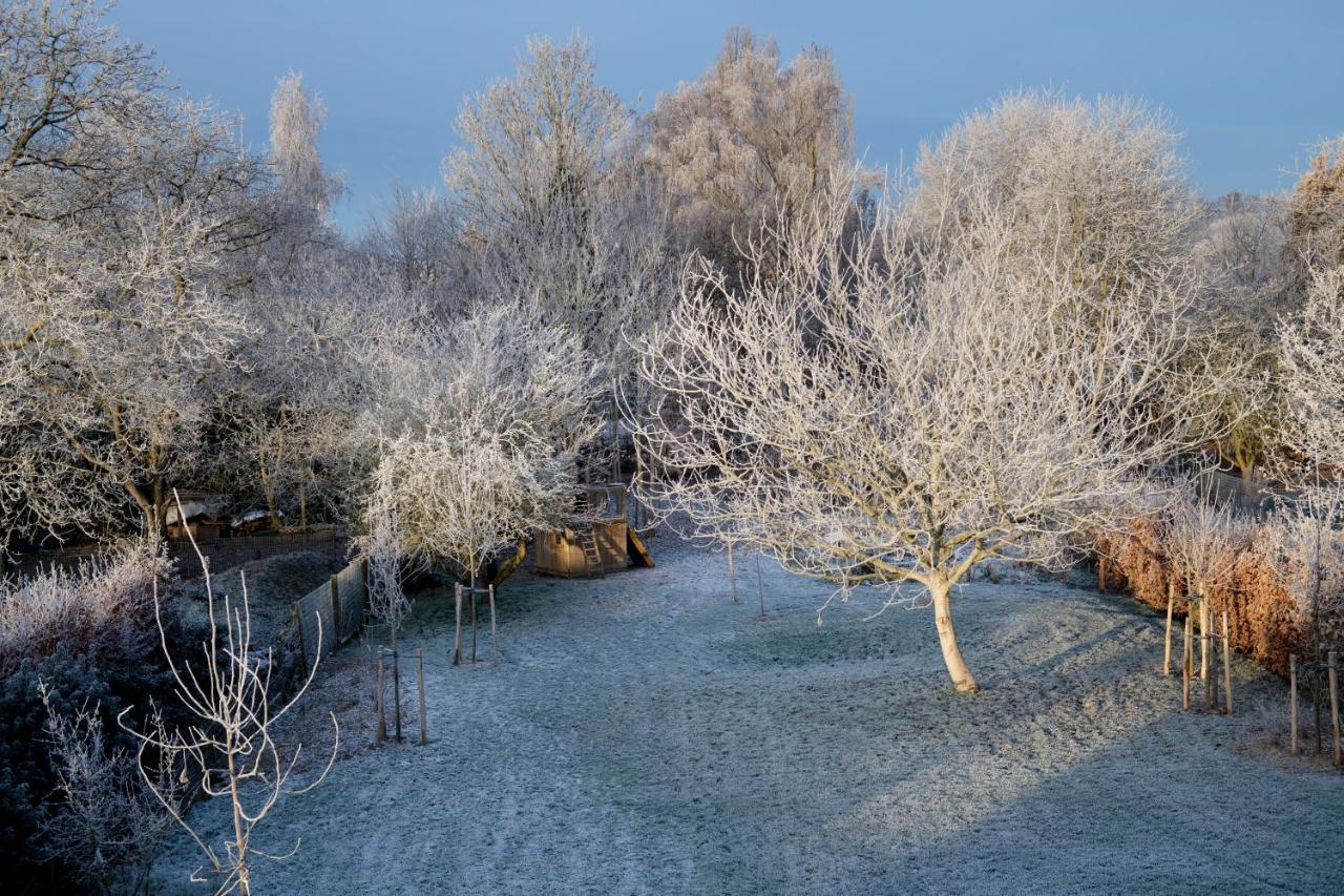 Bed and Breakfast Nuit Blanche Oud-Heverlee Exterior foto