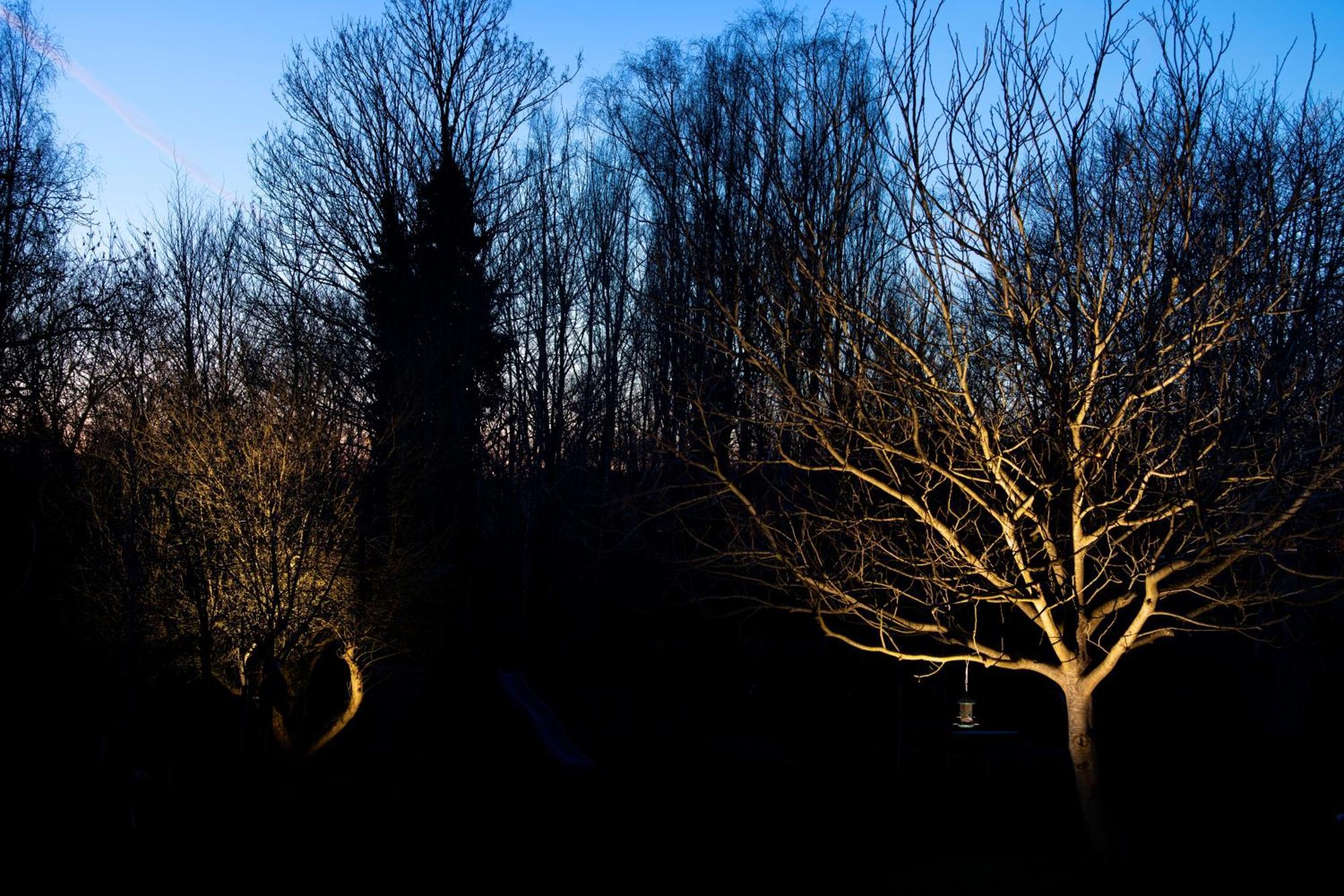 Bed and Breakfast Nuit Blanche Oud-Heverlee Exterior foto